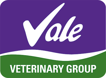 Vale Veterinary Group logo image