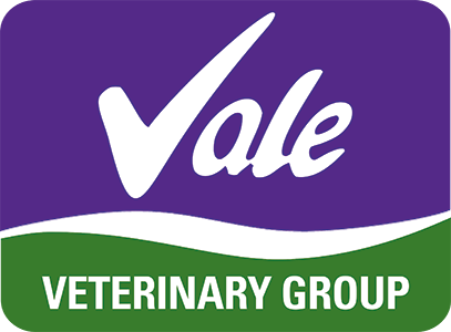 Visit Vale Veterinary Group home page